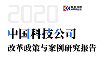 中国科技公司改革政策与案例研究报告