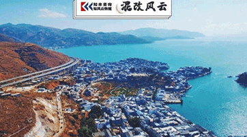 2020-2022深化混改，避免四种企业心态