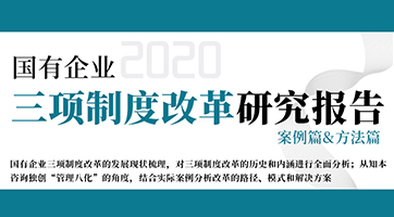 国有企业三项制度改革研究报告