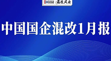 国企混改1月报发布