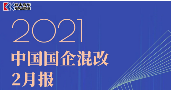 国企混改2月报发布