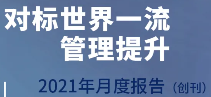 《“对标世界一流管理提升”2021年月度报告》