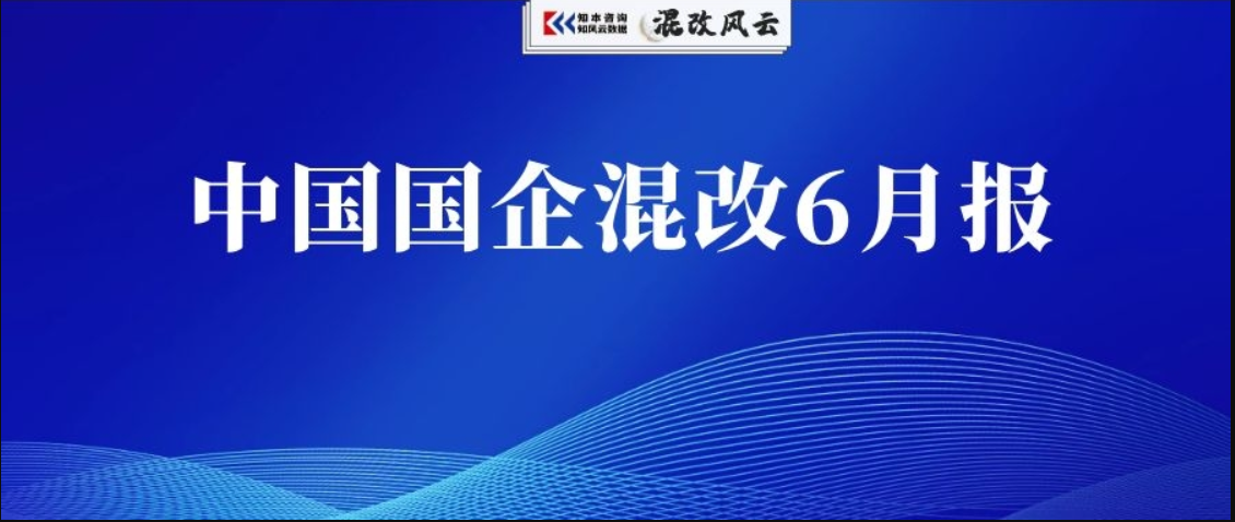 独家！国企混改6月报