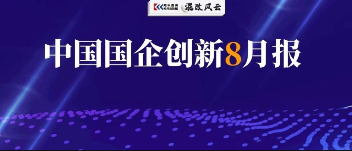 独家！国企创新8月报