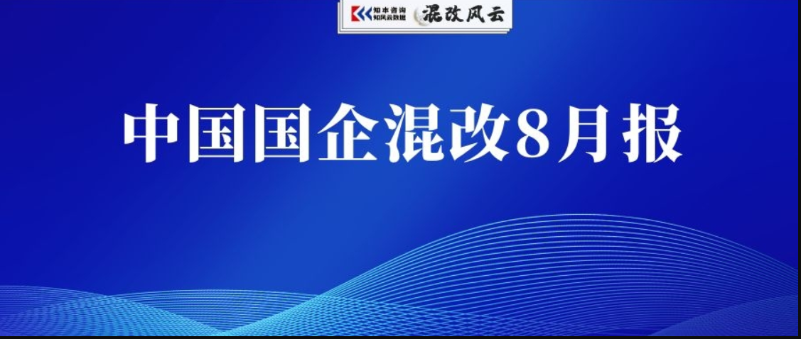 独家：国企混改8月报